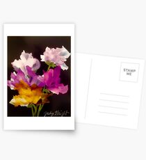 Posies Postcards