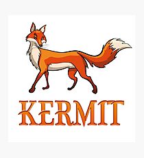 Kermit Fox Photographic Print