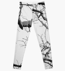 Tracery Leggings