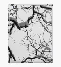 Tracery iPad Case/Skin