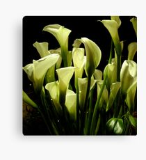 calle Canvas Print