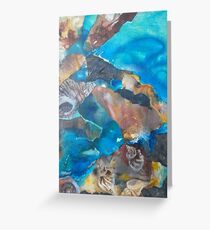Sapphire Coast Greeting Card