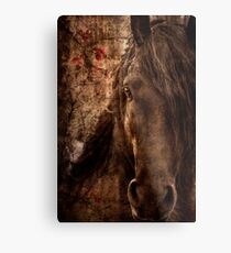 Music of horse Metal Print