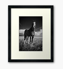 The Blaze Framed Print