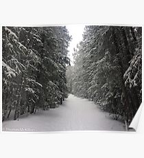 Narnia Poster