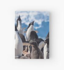 Crooning Adelie Penguins Hardcover Journal