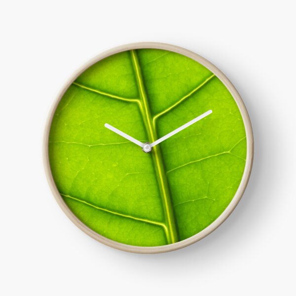 Eco green leaf Clock
