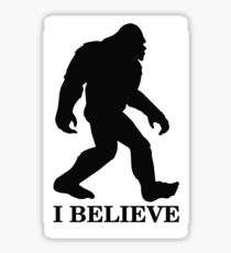 I Believe Sticker