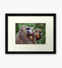 Two of a Kind Framed Print