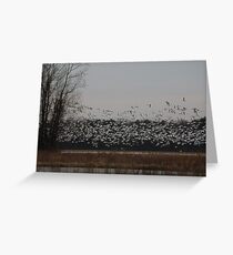 North Eastern NC Snow Greeting Card