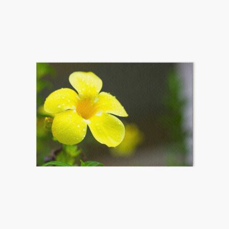 Yellow flower Art Board Print