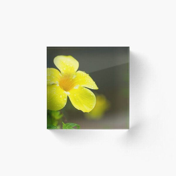 Yellow flower Acrylic Block