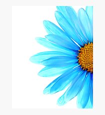 Color Me Blue Photographic Print