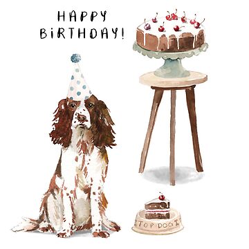 Springer spaniel shop birthday cake