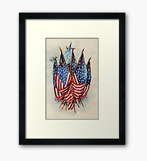 Flag - Our Country's Flag 1890 - US Flags Framed Print