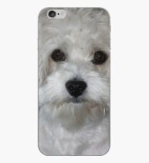 havanese white iPhone Case