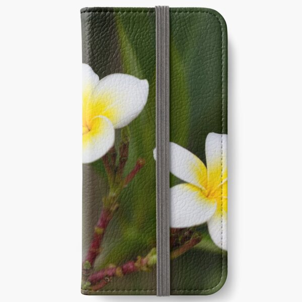 Frangipani leelawadee flowers iPhone Wallet