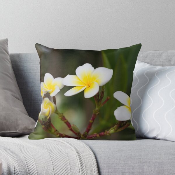 Frangipani leelawadee flowers Throw Pillow