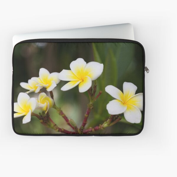 Frangipani leelawadee flowers Laptop Sleeve