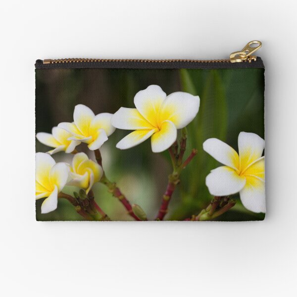 Frangipani leelawadee flowers Zipper Pouch