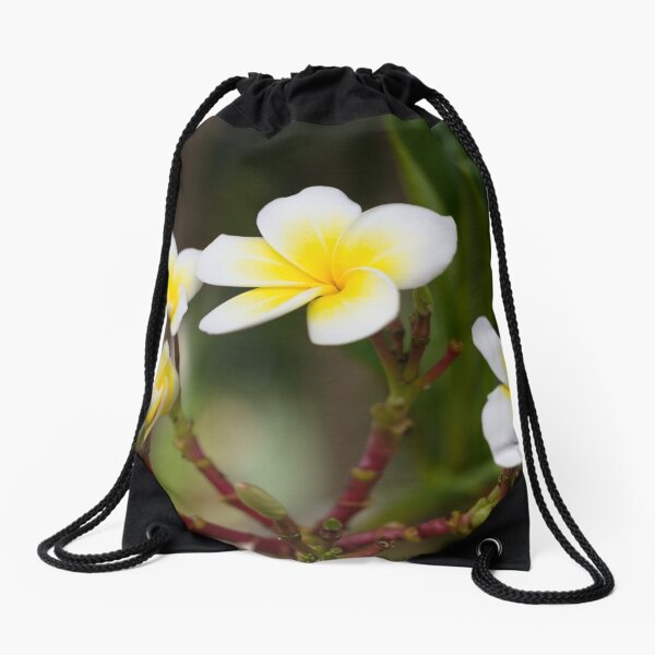 Frangipani leelawadee flowers Drawstring Bag