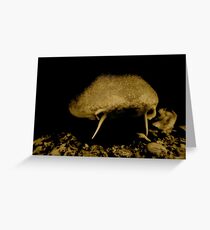 THE CONNOISSEUR Greeting Card