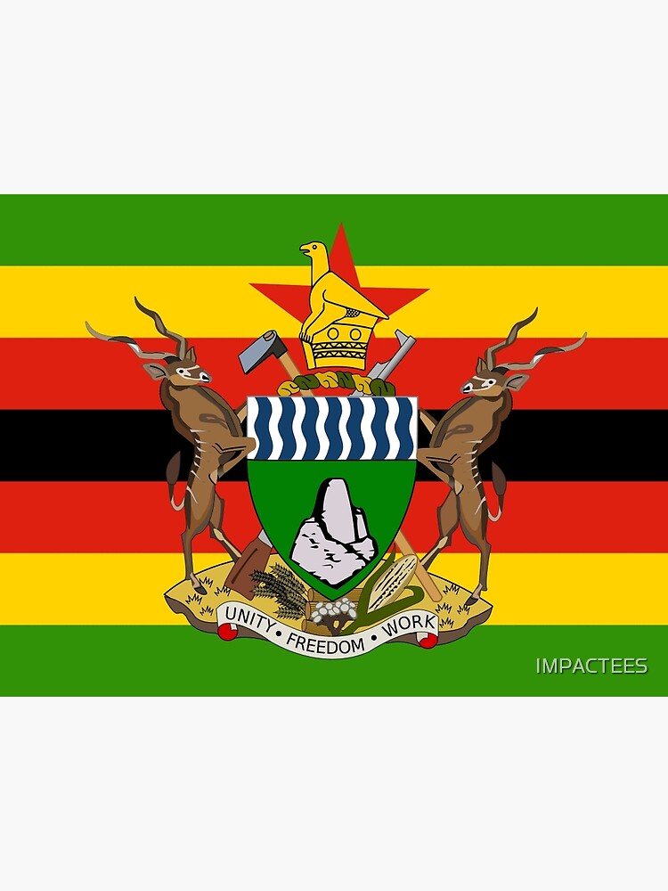 "ZIMBABWE" Framed Art Print by IMPACTEES Redbubble