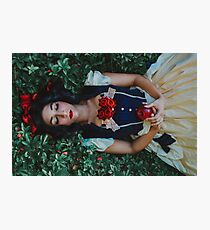 Snowwhite Photographic Print