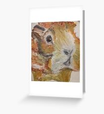 Meerschweinchen, kein Hampster! In Ölmalerei und auf Leinwand Grußkarte