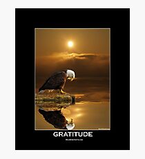 "Gratitude" Bald Eagle Photographic Print