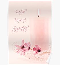 Pink Osteospernum Flowers - Sympathy Card Poster
