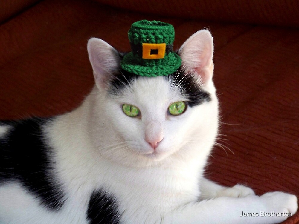 "Cool Irish Cat" by James Brotherton Redbubble