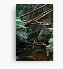 Fallen Together Canvas Print