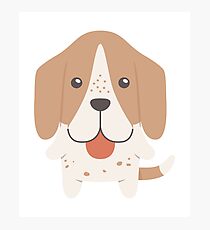 Basset Hound Photographic Print