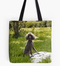 Coco Chanelle Tote Bag