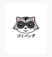 Kawaii cute Raccoon Trash Panda Photographic Print