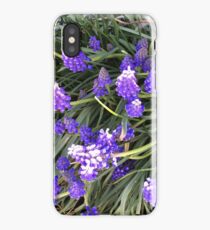 Lupin flowers iPhone Case