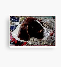 Baxter Canvas Print