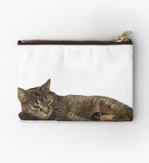 Cat Sleeping Studio Pouch