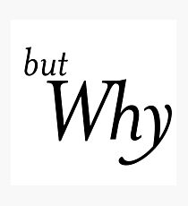 but Why Photographic Print