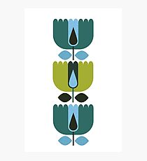 MCM Mums Photographic Print