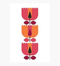 Mums Pink Photographic Print