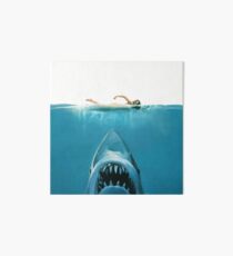 Shark Impression rigide