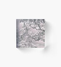 Magnolia Blush Acrylic Block