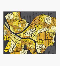 Pittsburgh Neighborhood Map Photographic Print