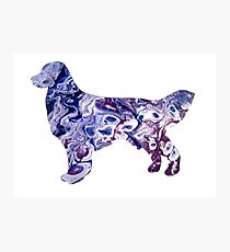 Golden Retriever Photographic Print