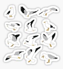 Pegatina Gaviota