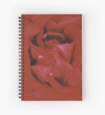 Red Rose Spiral Notebook