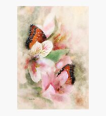 Hidden Jewels Photographic Print