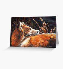 For Fox Sake Greeting Card
